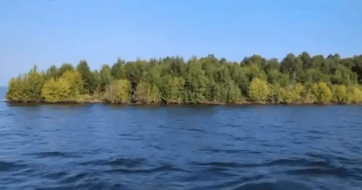 Плавучий острів зник з водосховища в Канаді: що відомо