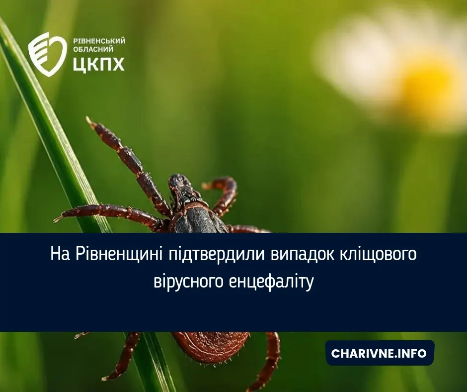 На Рівненщині чоловік захворів на кліщовий енцефаліт: що відомо
