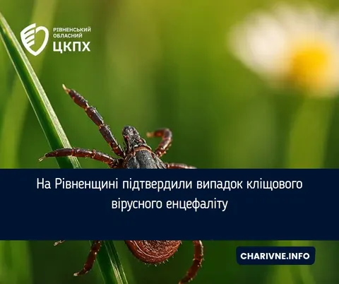 На Рівненщині чоловік захворів на кліщовий енцефаліт: що відомо