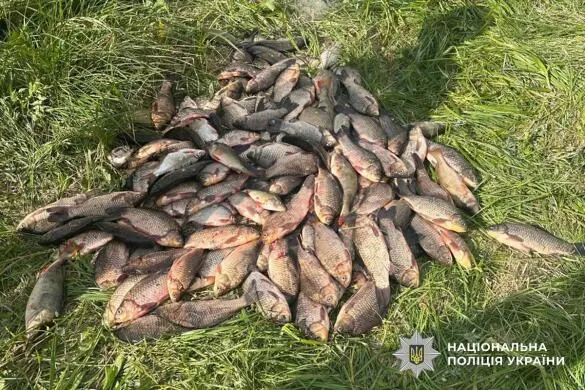 Браконьєр на Тернопільщині завдав збитків на 220 тисяч: справу скеровано до суду