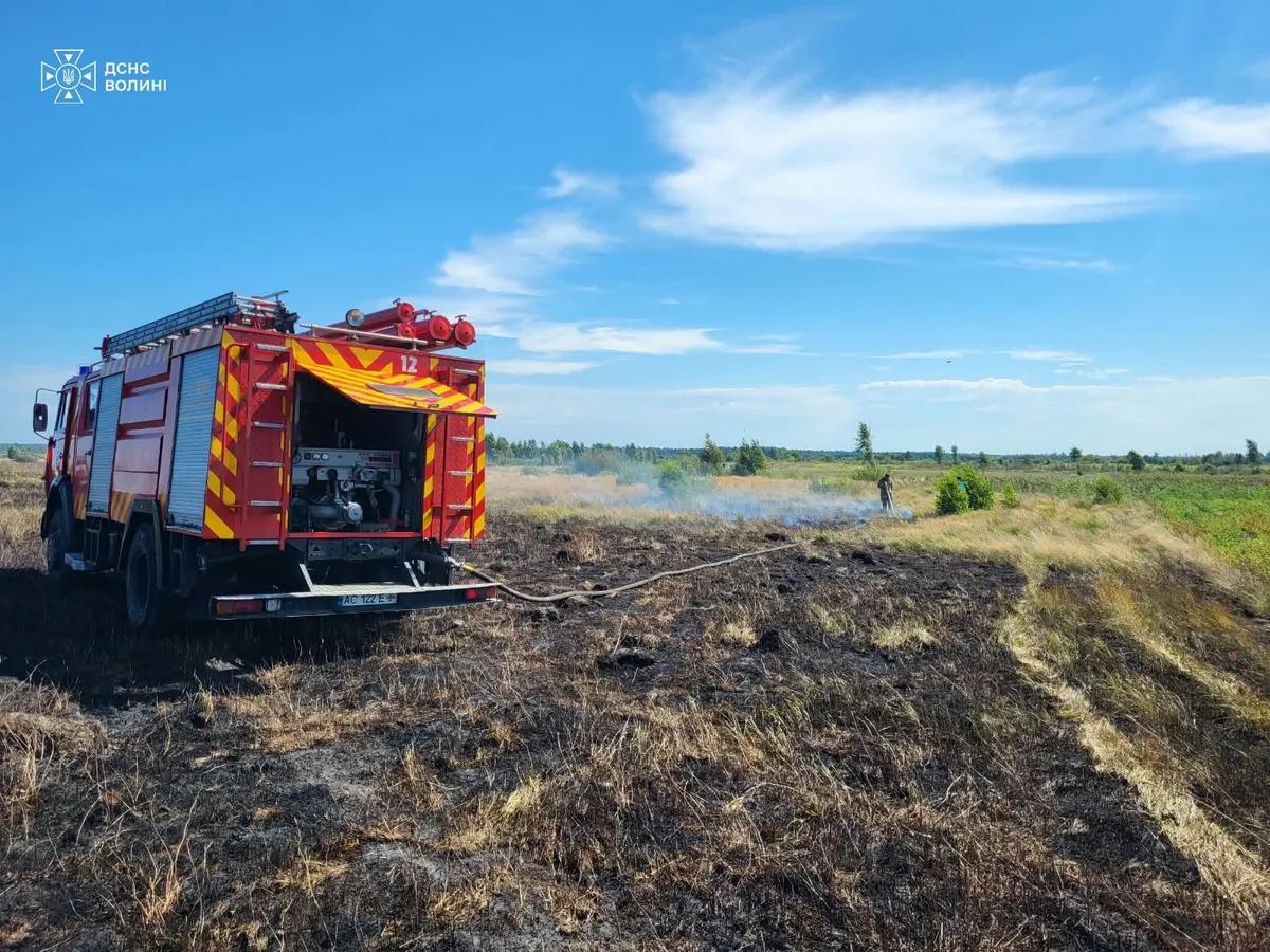 На Волині за добу сталося п'ять пожеж в екосистемах: що відомо