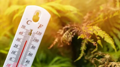 Спека до +36° і дощі: прогноз погоди у Запоріжжі на тиждень