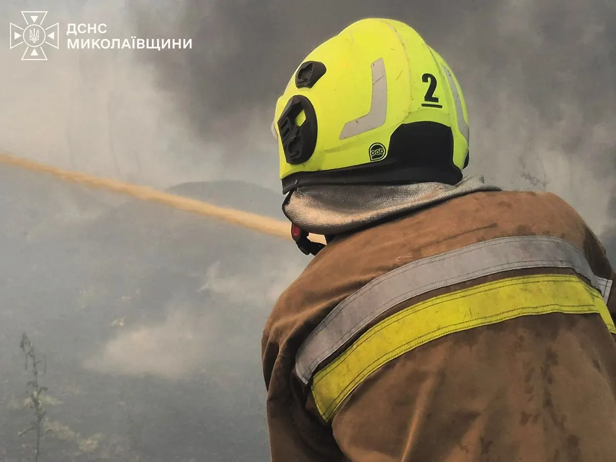 У Миколаєві гасять масштабну пожежу сухостою: є загроза поширення