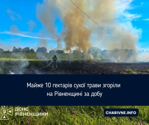 Пожежі на Рівненщині: за добу згоріло майже 10 га сухої трави