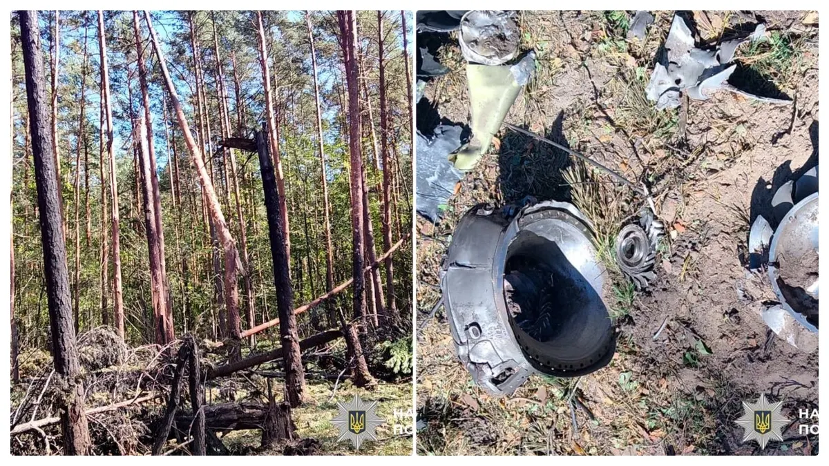 Залишки ворожого боєприпасу виявили в лісі на Рівненщині