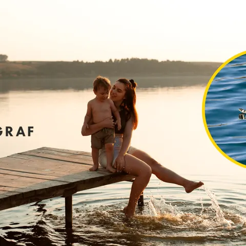 Чи може змія вкусити у воді: що кажуть науковці