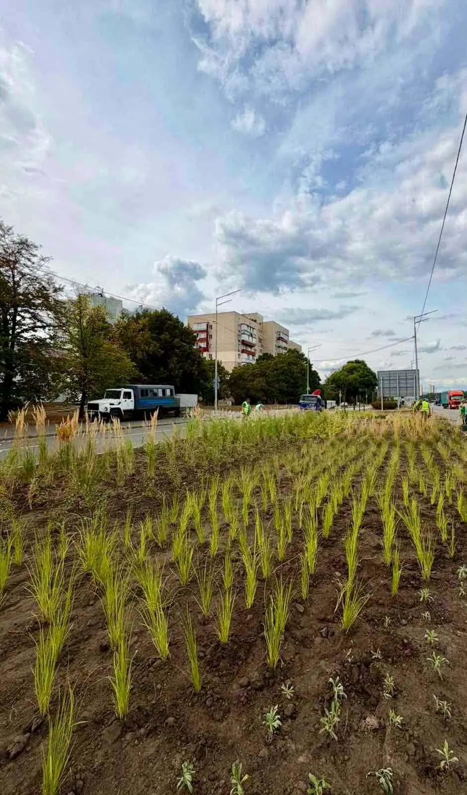 У Деснянському районі облаштували нову ландшафтну композицію «Нова хвиля»