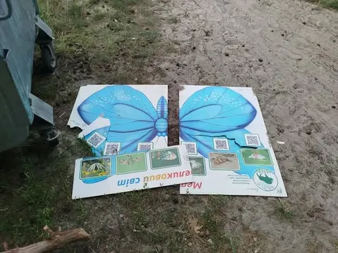 Вандали розібрали будиночок для комах у «Цуманській пущі»