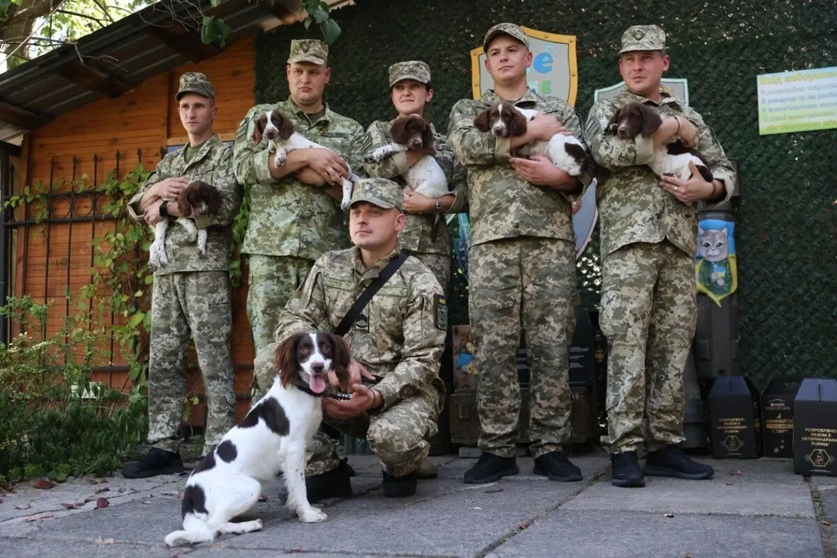 Діти Львова підготували собак для служби у ДПСУ: деталі