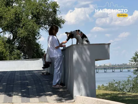 Парк Шевченка в Дніпрі: як виглядає улюблене місце відпочинку влітку