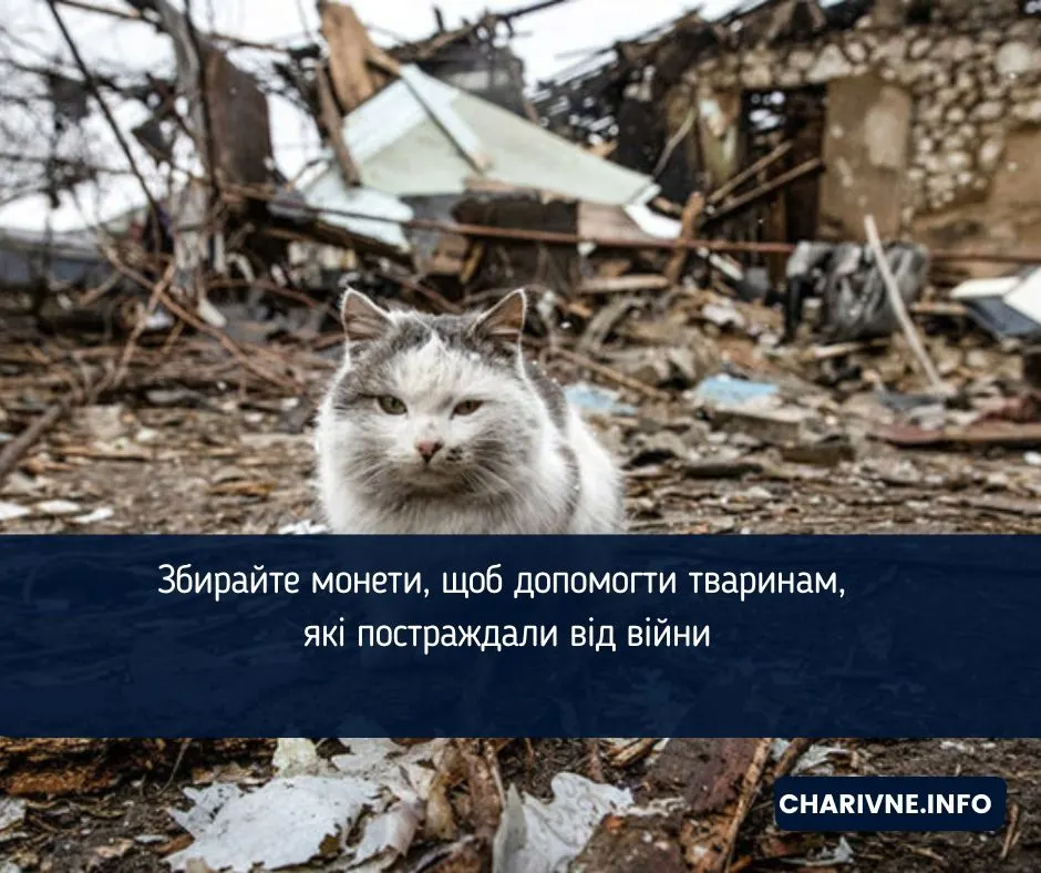 Монети на порятунок тварин: як долучитися до акції #PowerCoins