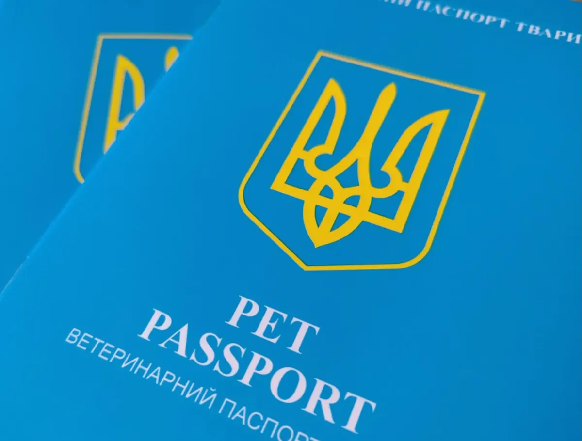 Нові ветпаспорти для тварин в Україні: що зміниться для власників