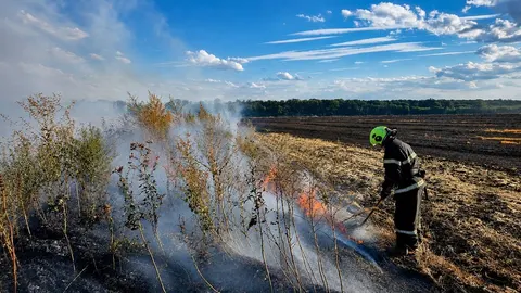 Пожежі в екосистемах Кіровоградщини: що стоїть за цифрами