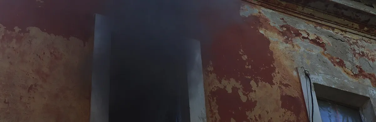 Сім пожеж за добу на Миколаївщині: що стояло за сухою травою та покинутою будівлею