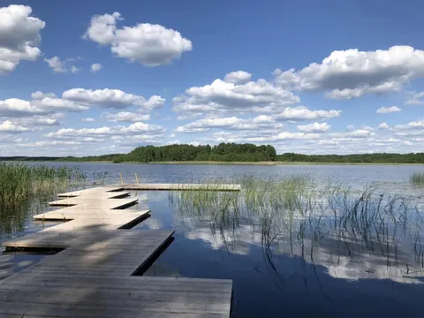 Затока Лука на Поліссі: природний розсадник життя у Світязі