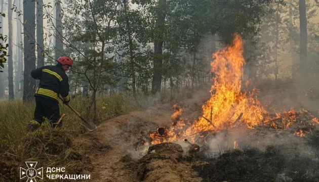 Лісова пожежа на Черкащині триває шостий день: що відомо