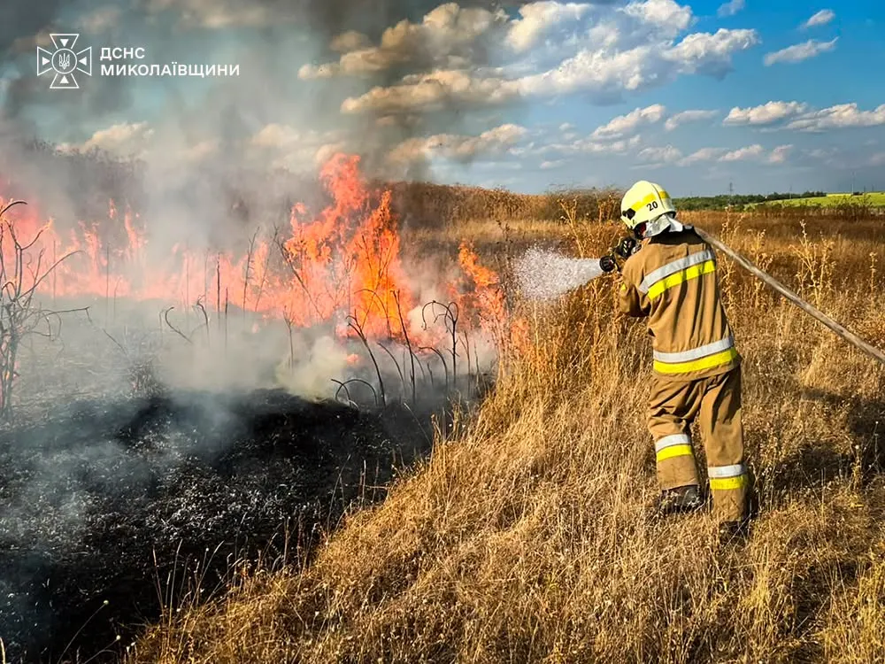 На Миколаївщині уламки дрона спричинили пожежу: що відомо