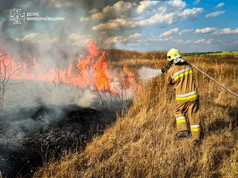 На Миколаївщині уламки дрона спричинили пожежу: що відомо