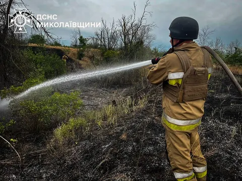 Спалювання стерні та сухої трави: штрафи до 30 тисяч гривень