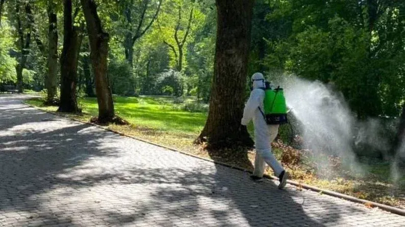 У чернівецькому парку оброблятимуть від кліщів: що це змінює для відвідувачів