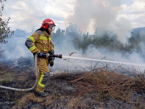 Три пожежі сухостою за добу на Тернопільщині: площа горіння сягнула 500 кв. м