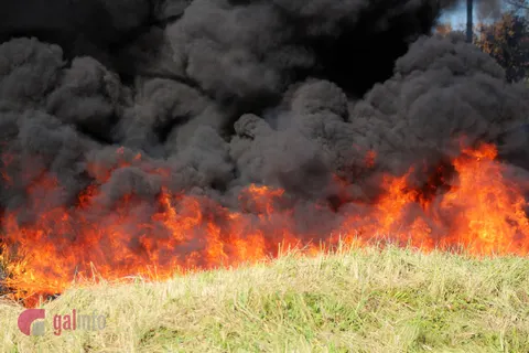 Пожежі на Львівщині: за добу 16 загорянь, більшість — в екосистемах