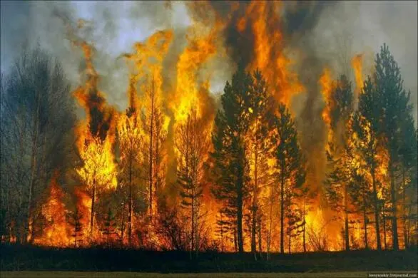 Спека до +39°C: на Харківщині оголошено надзвичайну пожежну небезпеку