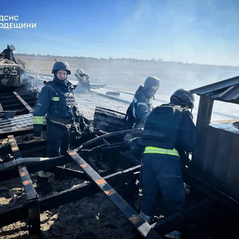 Удар по птахофермі на Одещині: що це означає для аграріїв і регіону