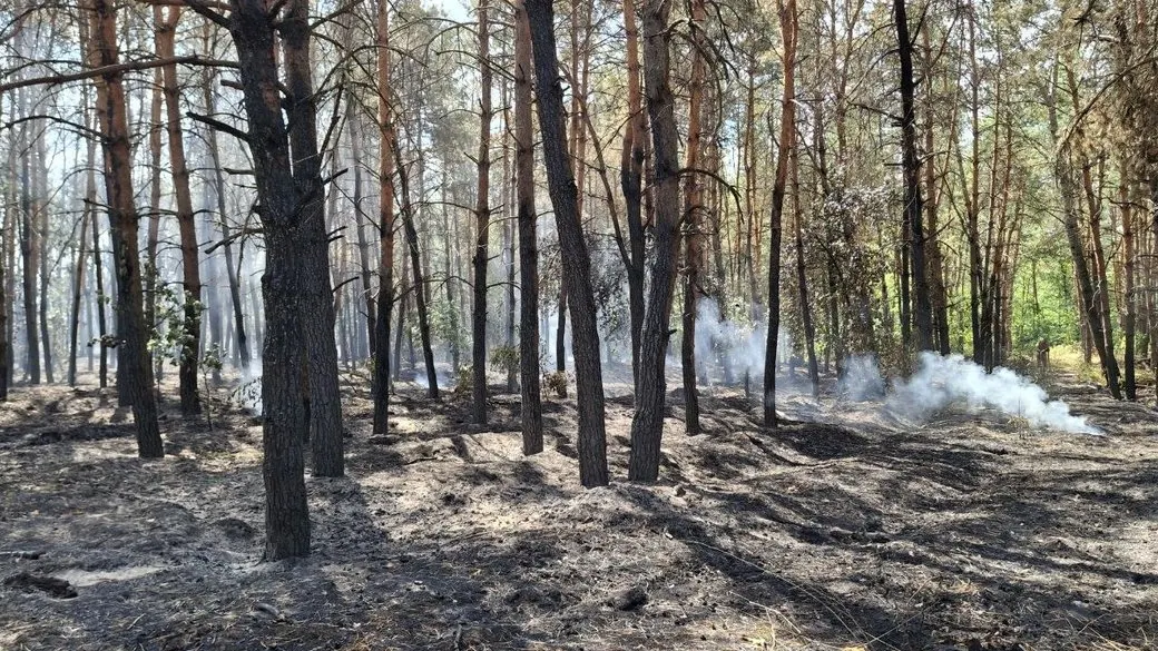 Лісова пожежа на Черкащині: локалізовано 122,6 га, триває гасіння