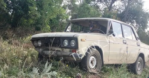 П'яний водій у Кривому Розі звалив провину на пса: що загрожує керманичу