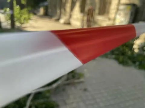 У Дніпрі біля зупинки «Проспект Науки» зрізають аварійні тополі