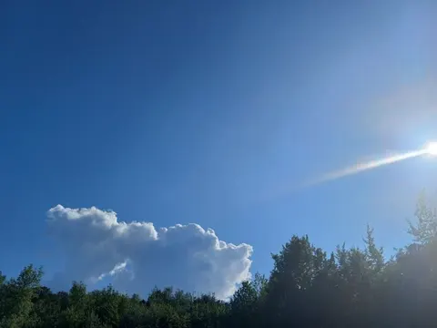 Спека до +37° на Буковині: коли очікувати полегшення