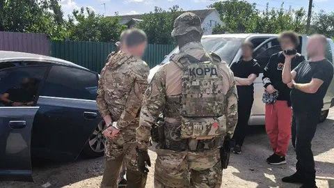 Понад пів тонни канабісу на Житомирщині: що стоїть за операцією «Джентльмени»