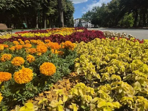 Спека до +35°C: якою буде погода у Харкові наступного тижня