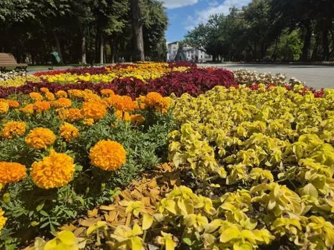 Спека до +35°C: якою буде погода у Харкові наступного тижня