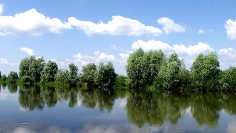 На Волині потонув 11-річний хлопчик: тіло знайшли за кілометр від берега