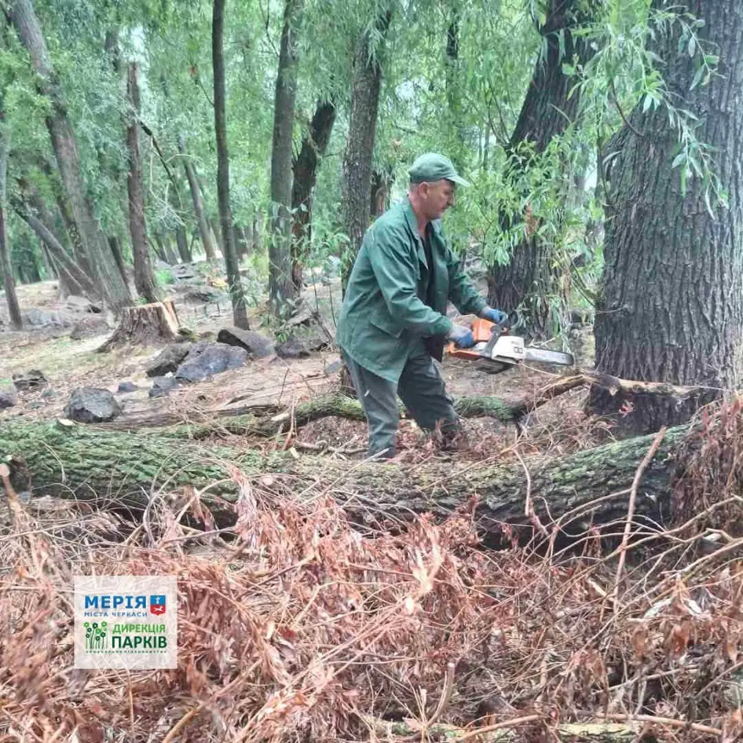 Негода в Черкасах: наслідки ліквідували у Долині троянд