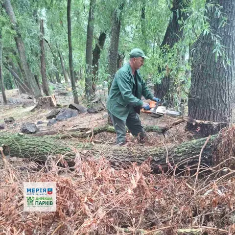Негода в Черкасах: наслідки ліквідували у Долині троянд
