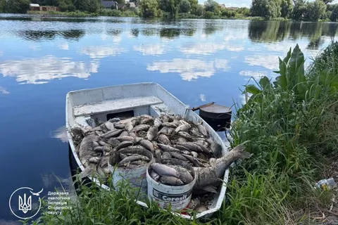 Мор риби під Києвом: екологи знайшли сліди стічних вод у водоймах