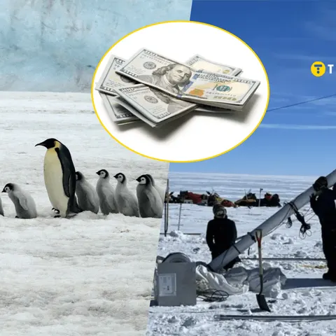 Антарктида за 160 тисяч доларів: що стоїть за австралійським набором на станції
