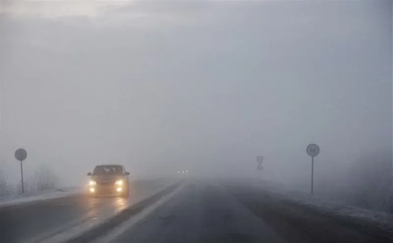 Буковину накриє туман: що це означає для водіїв і жителів області