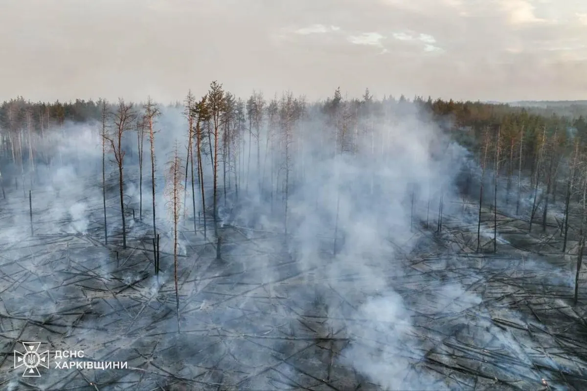 Лісові пожежі на Харківщині охопили 86 гектарів: що відомо