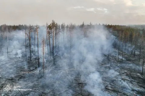 Лісові пожежі на Харківщині охопили 86 гектарів: що відомо