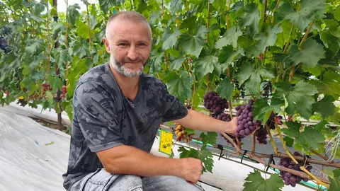 «Маленький Крим» на Волині: як чоловік створив виноградник із 50 сортів