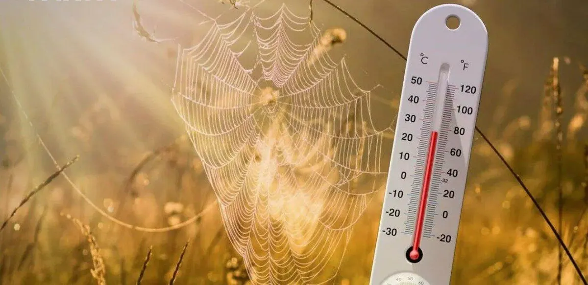 Перше бабине літо в Україні: до +29°C, але тепло протримається недовго