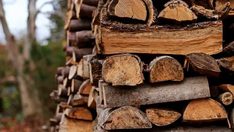 Дрова на зиму 2026: що вигідніше і як не переплатити