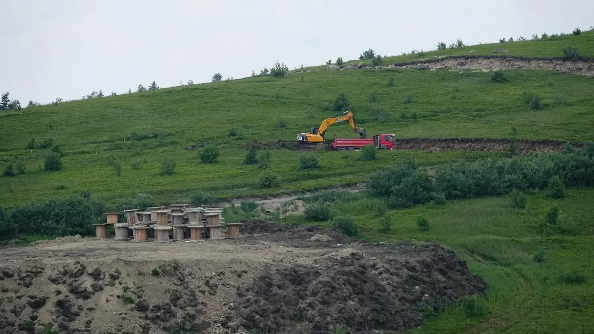 Суд скасував дозвіл на вирубку пралісів на полонині Руна, але дерева вже знищені